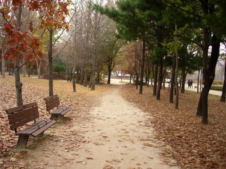 A path in Seoul Forest